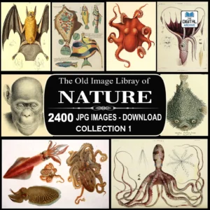 2,400 Vintage Natural History Illustrations – Animals & Nature JPG Collection