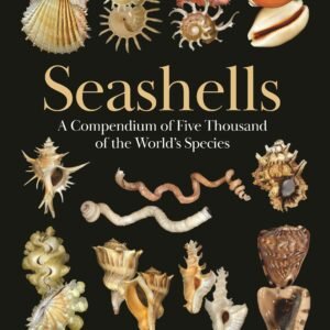 Seashells: A Compendium of Five Thousand of the World's Species
